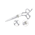 Professional Hair Cutting Shear