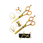 Professional Cutting Scissor Kit
