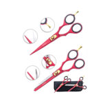 Professional Cutting Scissor Kit