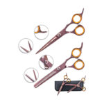 Professional Cutting Scissor Kit